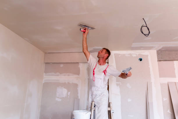 Best Commercial Painting  in Santa Venetia, CA